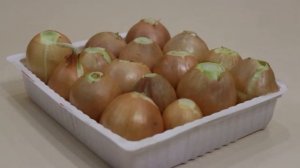 Лук в бутылке (Как вырастить лук дома на подоконнике)