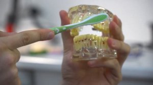 Гигиена  полости рта. Как правильно чистить и ухаживать за  зубами