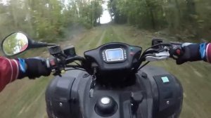 Tgb blade 550 4x4 max speed