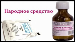 Как избавиться от тараканов раз и навсегда