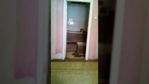 Графский детский санаторий.
