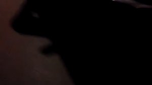 Колектор субару саунд на бмв м40