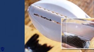 Как почистить рыбу, чтобы чешуя не разлеталась