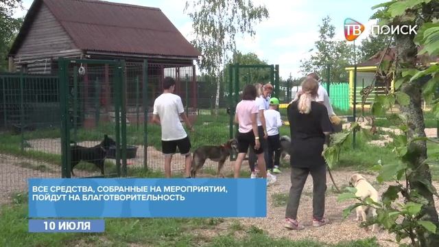 Пикник у Котодеток