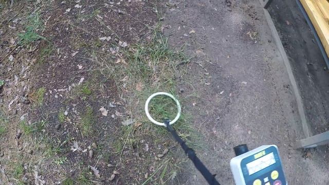 Металлоискатель РАМ5 нашел монету, отзыв