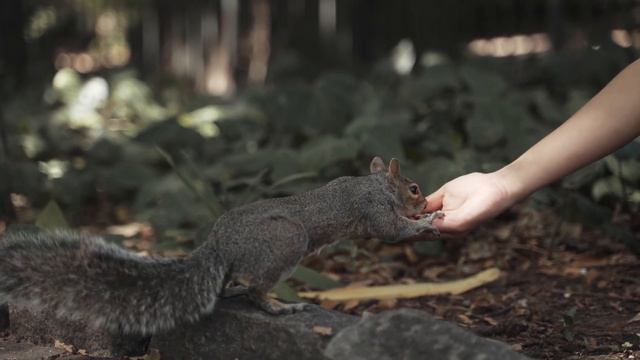 [4K] 머리가 치유되는 음악 l 마음이 편안해지는 음악 l 불면증 치료 음악 l 명상음악 смотреть онлайн