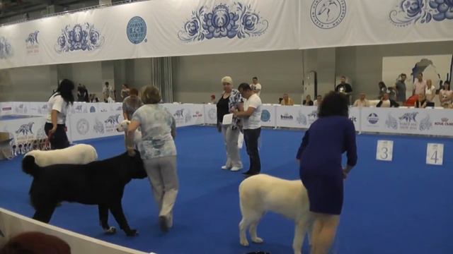 World Dog Show 2016 специалка САО