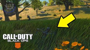 ВЗЯЛ ТОП 1 В КОРОЛЕВСКОМ РЕЖИМЕ! МАШИНА НА ПУЛЬТЕ УПРАВЛЕНИЯ?! CALL OF DUTY BLACK OPS 4 BATTLE ROYAL