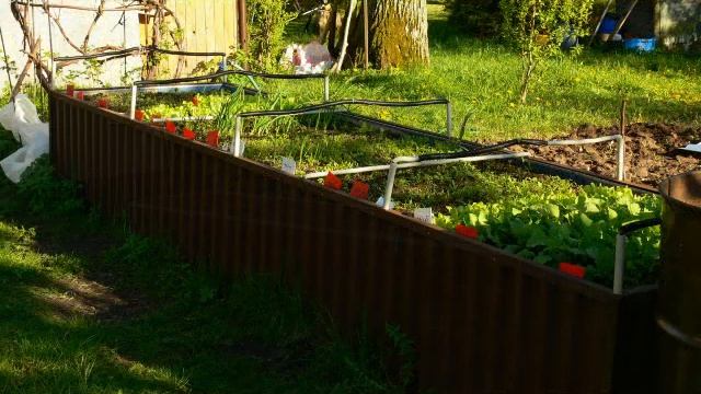 Высокая грядка, парник из труб ППР, грядка с водяным подогревом смотреть онлайн