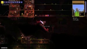 Кровавая Слеза Террария (полный гайд) (2023)