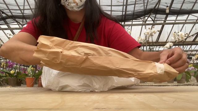 Orchid Hunters: Ecuagenera смотреть онлайн