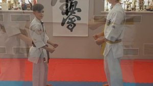 Базовые блоки в киокушин карате. Бункай. Часть 6. Kyokushin karate basic blocks, Bunkai. Part 6.