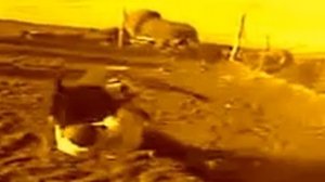 ДЕБИЛЫ 80 УРОВНЯ ТАКОГО ВЫ ЕЩЁ НЕ ВИДЕЛИ ЖЕСТЬ