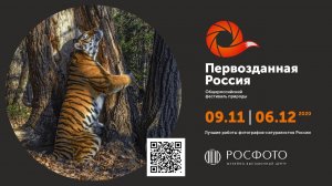 Трейлер к выставке «Первозданная Россия» || Exhibition "Pristine Russia"