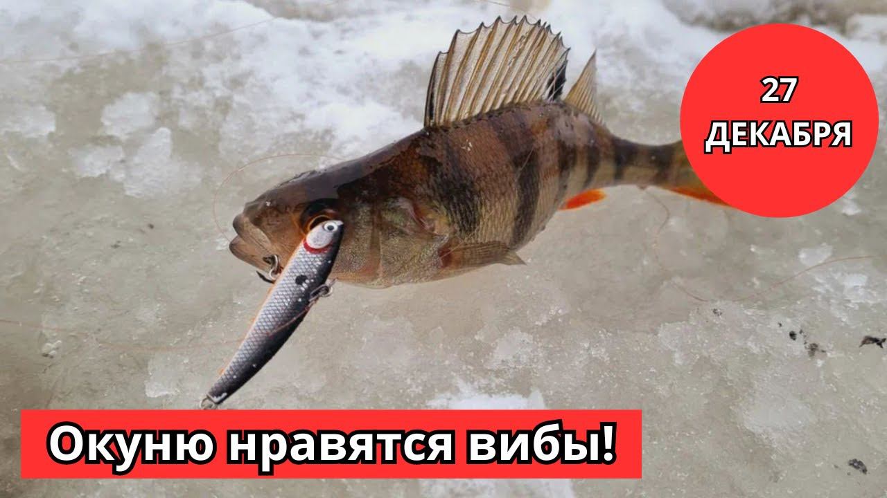 #57 #зимняяловлярыбы Пробую ловить вибом. Эхолот показывает ажиотаж вокруг этой приманки