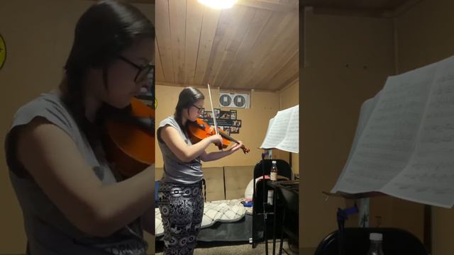 Ciaccona (Chaconne) in g minor by Tommaso Vitali. Transcribed and Edited by Leonard Davis. смотреть онлайн