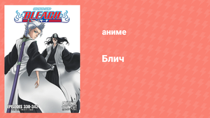 Блич: Вторжение в Готей 13 338 серия (аниме-сериал, 2004)