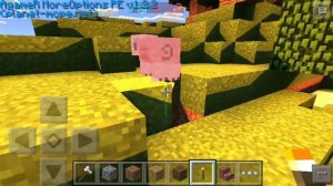 X-Ray Mod для Minecraft PE 0.13.0