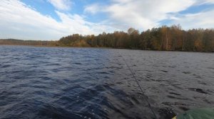 4 окунь щука