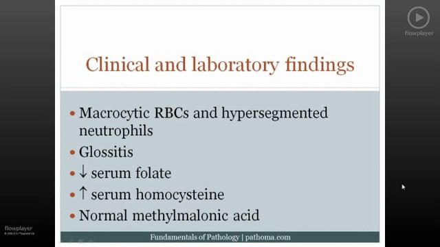 Pathoma USMLE - V ГЛАВА - 4.Макроцитарная анемия