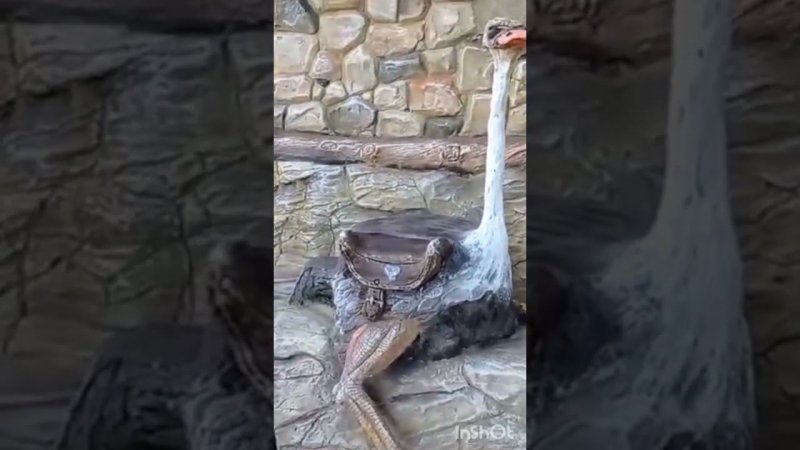 Больше всего был рад я!