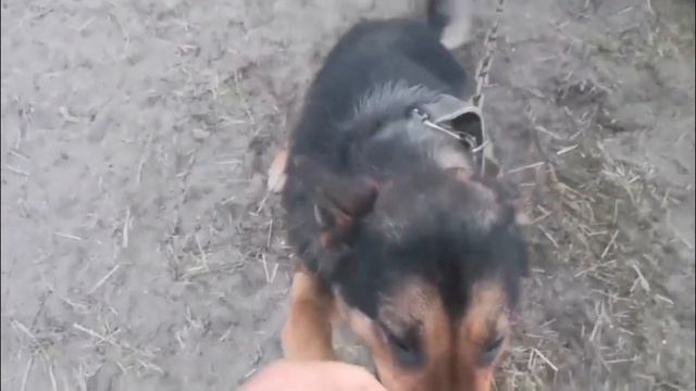 В ДОРЕ жизнь течёт без остановки! 🌛🌞 смотреть онлайн