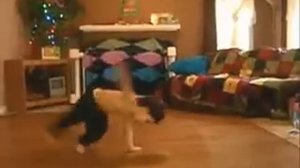 Жжом с пелёнок ))).flv