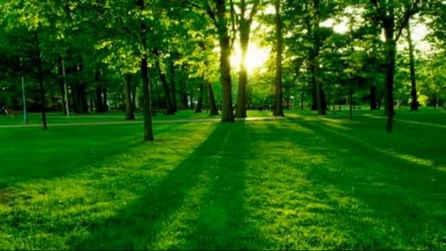 4 красивейших мантры для чакрального сеанса по 2,5 минуты на чакру