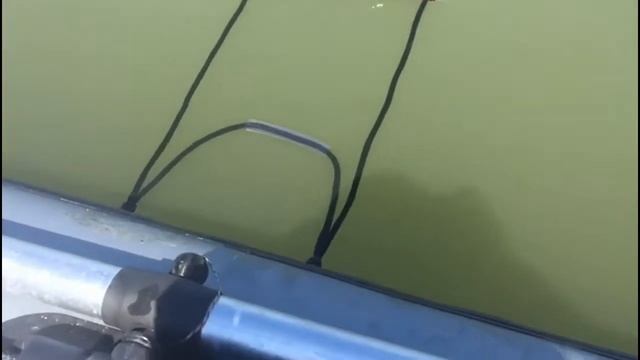 №81.Лестница в лодку часть 3 смотреть онлайн