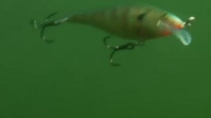 Воблер Rapala Scatter Rap® Shad