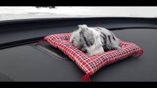 Chery Tiggo 7 Pro Сюрпризики с Алишки смотреть онлайн