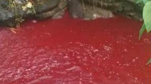 Multiple rivers turn blood red in Malawi and Indonesia! || #FAVORTV