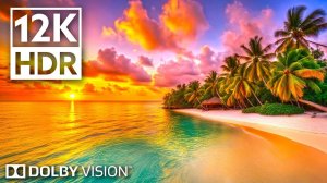 Настоящий рай 12K Dolby Vision HDR (120fps)
