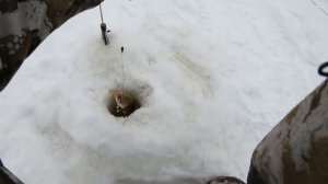 ПОПАЛИ ТАК ПОПАЛИ! Такого клева на этой речьке никогда небыло! ЗИМНЯЯ РЫБАЛКА В ВЕРБНОЕ ВОСКРЕСЕНЬЕ