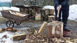 Весна в деревне 2023 ! Заготовка дров ! Колю дрова ! Firewood