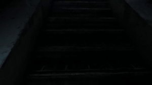 Сумасшедший житель Убежища 77 | История Мира Fallout 3 Лор