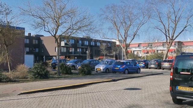 ДОМА ПРЕСТАРЕЛЫХ В НИДЕРЛАНДАХ