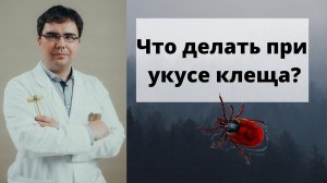 Что делать если укусил клещ и как этого избежать?