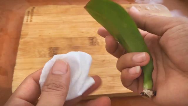 Don't Give Up on Your Moldy Orchid! How One Leaf Can Make a Difference смотреть онлайн