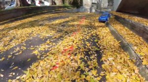 宅爸RC@棒假94要玩車?KM拉力slow motion #KM拉力 #Subaru rally