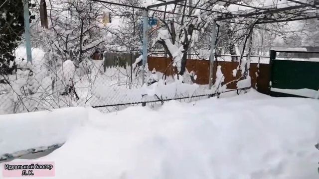 16 февраля 2021 г. Краснодарский край. смотреть онлайн