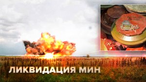 Более тонны в тротиловом эквиваленте: росгвардейцы уничтожили инженерные боеприпасы ВСУ