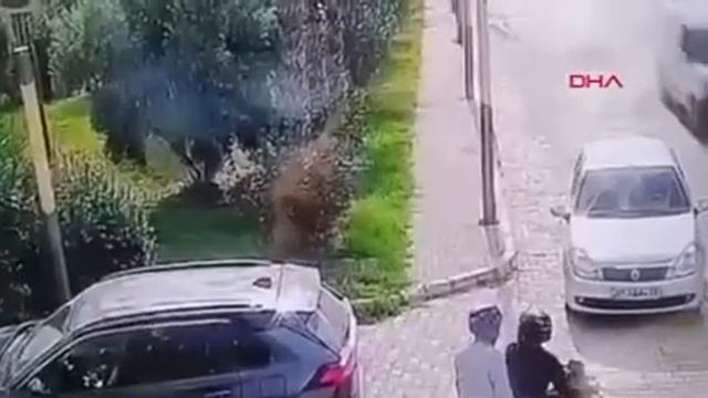Українець на смерть задавив двох грабіжників у Туреччині