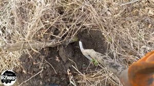 В Пронске много хорошего железа. Металлокоп 2022.