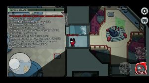 играю с Локи Бобо настоящим