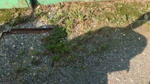 Suzuki GSXR 600 SRAD 1998 обзор владельца