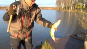 Позднеосенняя ловля щуки на спиннинг [salapinru]