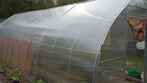 Сажаю баклажаны в открытый грунт делюсь секретами