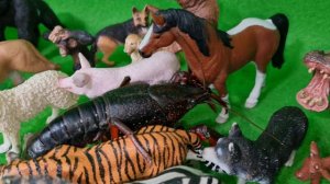 Фигурки Зверушки, Волк, Лев, Тигр, Коровка, Собака, Кошка, Лошадки SCHLEICH / детский канал игрушек