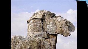 Топ-10 экологических памятников природы Оренбургской области